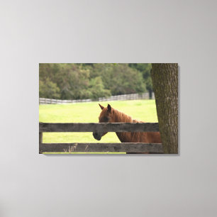 Pferd auf einem Bauernhof, der durch einen Baum Leinwanddruck