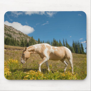 Pferd auf Gräsern auf einer alpinen Wiese im Somme Mousepad