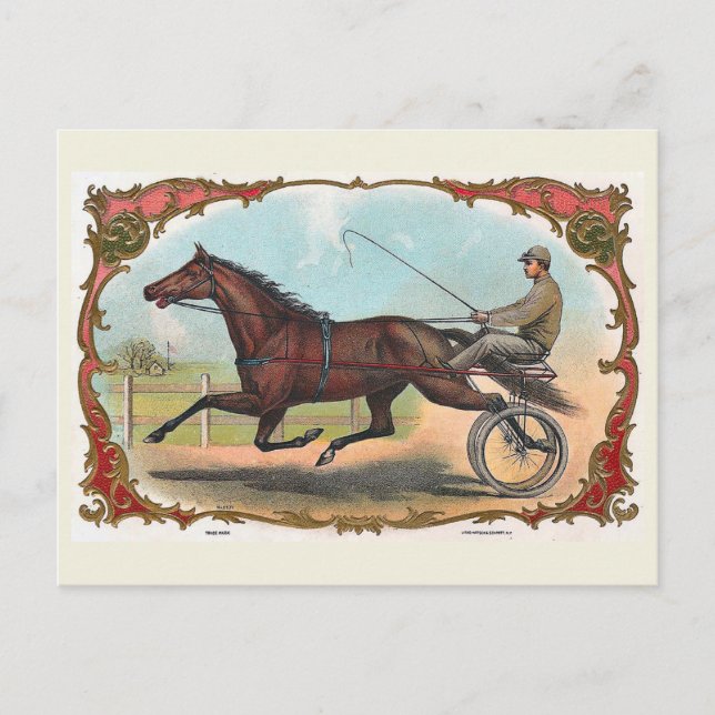 Pferd auf Rädern Vintages Pferderennen Postkarte (Vorderseite)