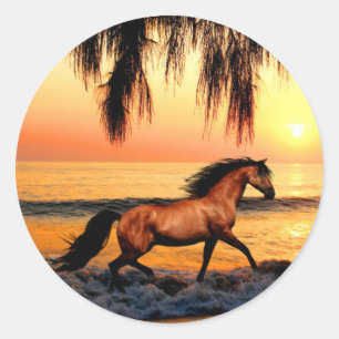 Pferd auf Strand am Sonnenuntergang Runder Aufkleber