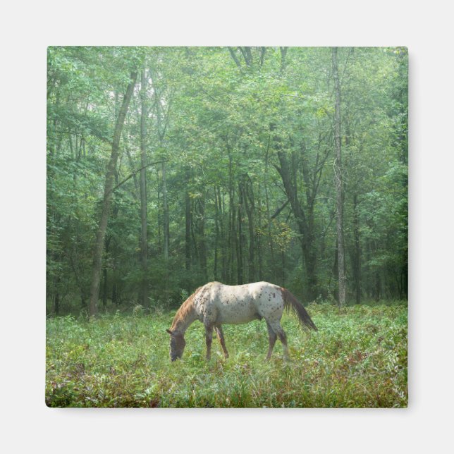 Pferd auf Wiese Magnet (Vorne)