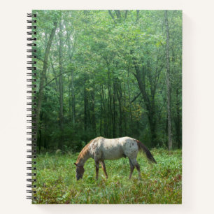 Pferd auf Wiese Notizbuch