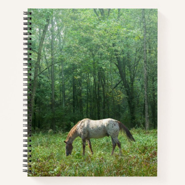Pferd auf Wiese Notizbuch (Vorderseite)