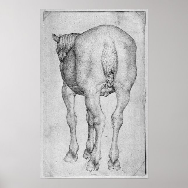Pferd, aus dem Vallardi-Album Poster (Vorne)