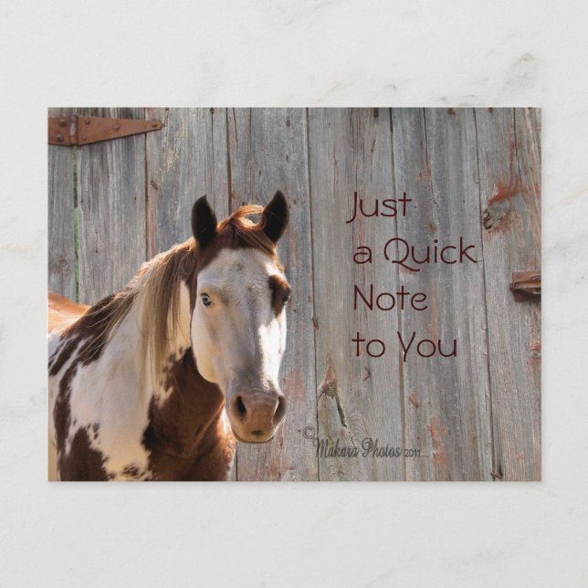 Pferd & Barnwood Postcard - maßgeschneidert Postkarte (Vorderseite)