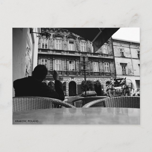 Pferd & Beförderung in Krakau Postkarte (Vorderseite)