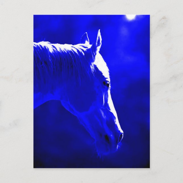 Pferd bei Nacht - Pferd im Mondlicht Postkarte (Vorderseite)