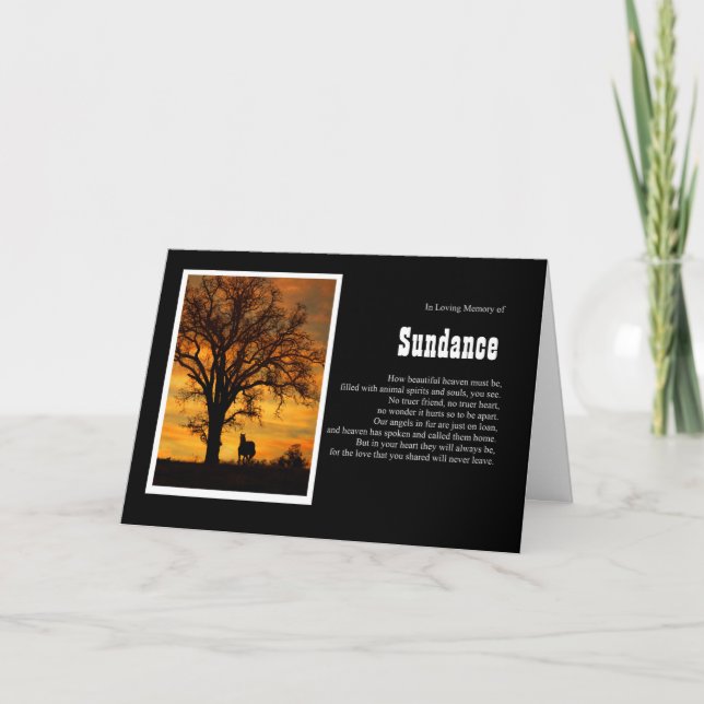 Pferd Beileid Eigener Pferdename Spirituelle Karte (Vorderseite)
