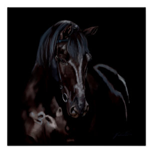 Pferd Blackas Mitternacht Poster
