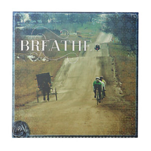 Pferd, Buggy und Fahrräder Fliese