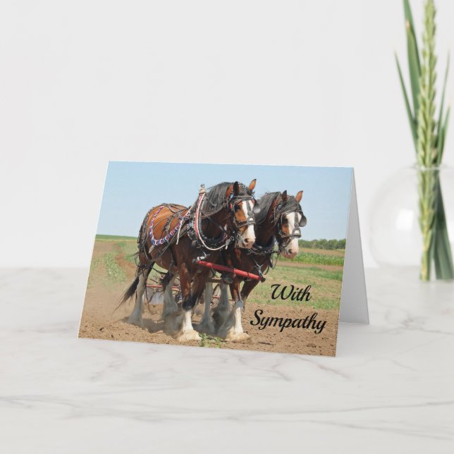 Pferd Clydesdale Foto Beileid Karte (Vorderseite)