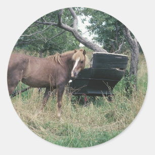 Pferd, das alte Buggy ausprobiert Runder Aufkleber
