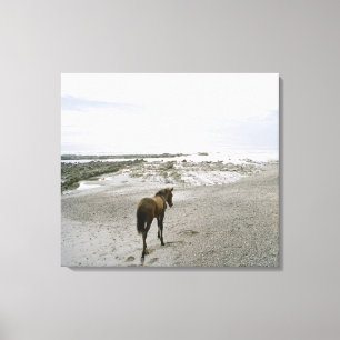 Pferd, das auf den Strand geht Leinwanddruck
