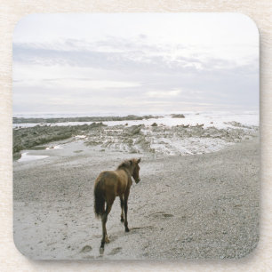 Pferd, das auf den Strand geht Untersetzer