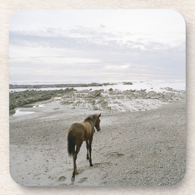Pferd, das auf den Strand geht Untersetzer (Vorderseite)