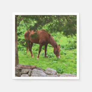 Pferd, das in der Weiden-Papierserviette weiden Serviette