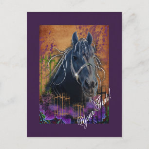 Pferd-DIAMOND-Portrait - Postkarte