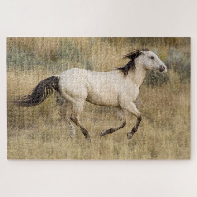 Pferd durch die Graslandschaft Prairie (Horizontal)