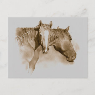 PFERD, FOHLEN: SEPIA: PENCIL ART POSTKARTE