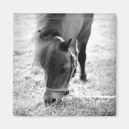 Pferd Foto Zeitlos Keepake Schwarz-weiße Haustiere Magnet