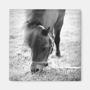 Pferd Foto Zeitlos Keepake Schwarz-weiße Haustiere Magnet
