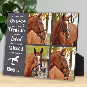 Pferd Gedenk Geschenk Pferd Verlust Mitgefühl Ande Fotoplatte