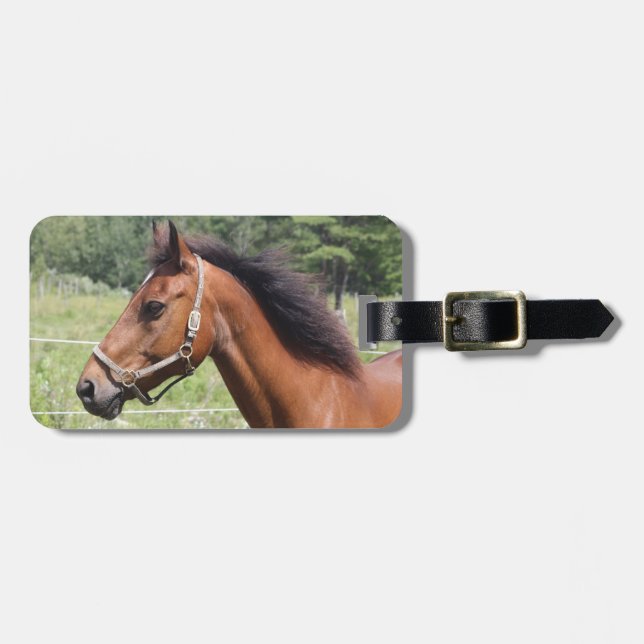 Pferd Gepäckanhänger (Vorderseite horizontal)