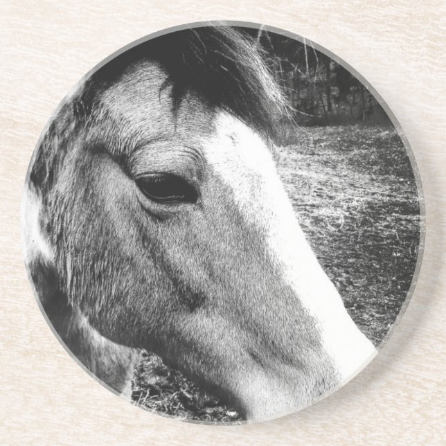 Pferd Getränkeuntersetzer (Vorne)