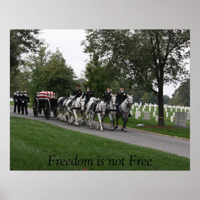 Pferd gezeichnet Caisson Arlington Friedhof Poster (Vorne)