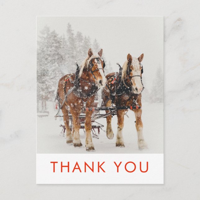 Pferd Gezeichnet Sleigh Weihnachtslandschaft Viele Postkarte (Vorderseite)
