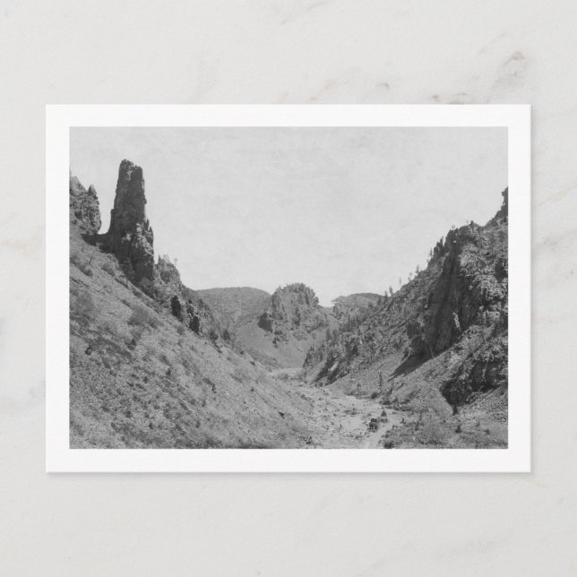 Pferd Gezeichnet Trainer in Phantom Ridge Fotograf Postkarte (Vorderseite)