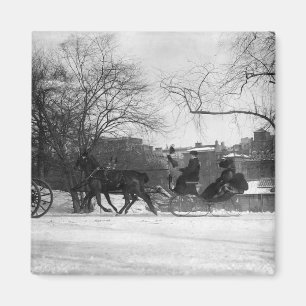 Pferd gezeichneter Magnet des Sleigh-NYC
