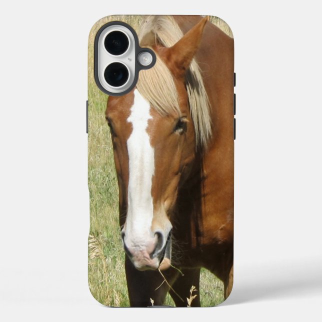 Pferd-Handy-Fall iPhone 16 Plus Hülle (Rückseite)