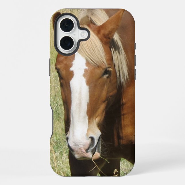 Pferd-Handyhülle iPhone 16 Plus Hülle (Rückseite)