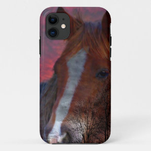 Pferd im Falle eines Sonnenuntergangs title_seo2