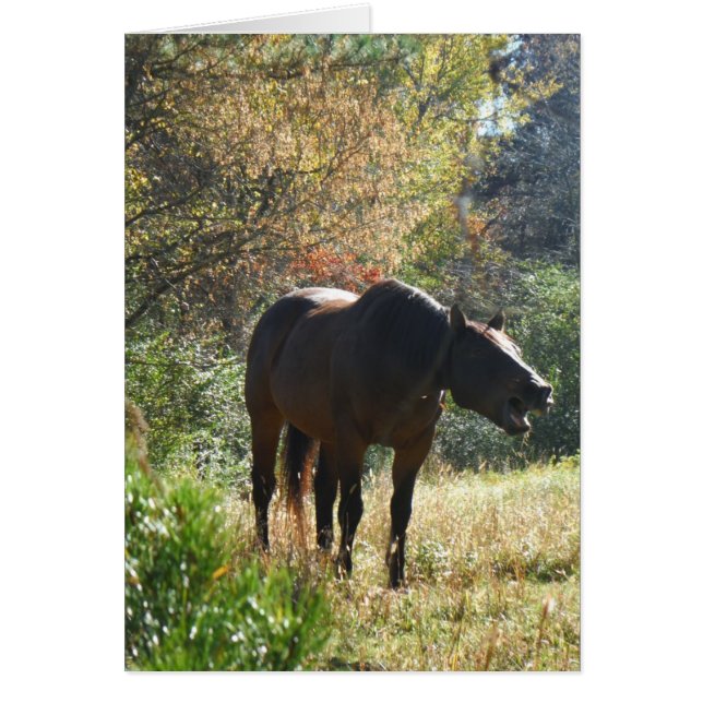 Pferd im Herbst (Vorne)