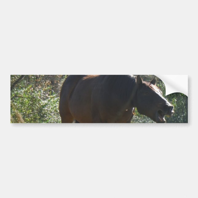 Pferd im Herbst Autoaufkleber (Vorne)