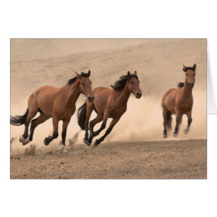 Pferd im Herbst II