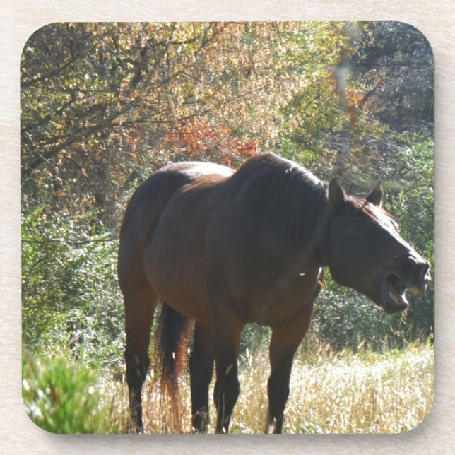 Pferd im Herbst Untersetzer (Vorderseite)