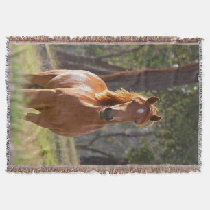 Pferd im Holz Decke