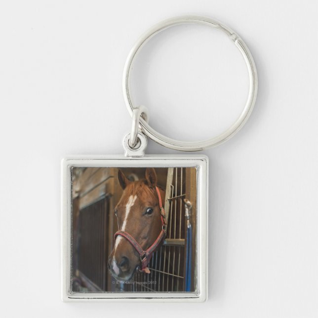 Pferd im Stall Schlüsselanhänger (Vorne)
