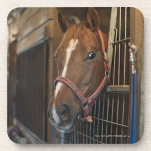 Pferd im Stall Untersetzer