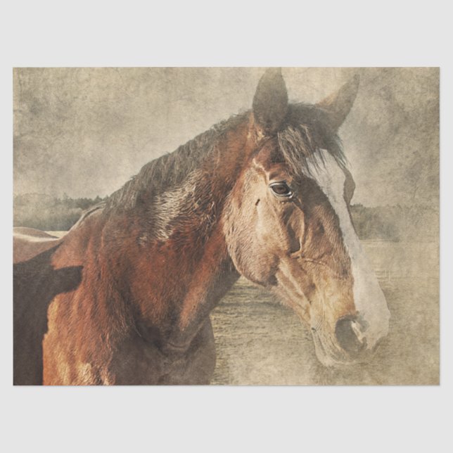 Pferd im Staub Seidenpapier (Vorderseite)