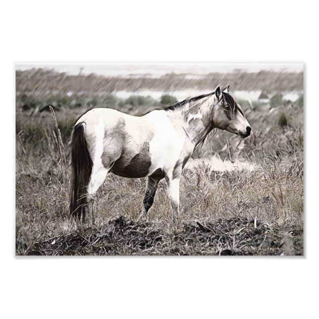 Pferd im Stile der Penzile Fotodruck (Vorne)