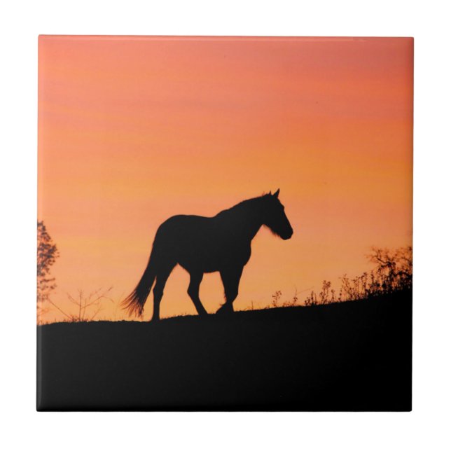 Pferd im Südwesten des Sonnenaufgangs Fliese (Vorderseite)