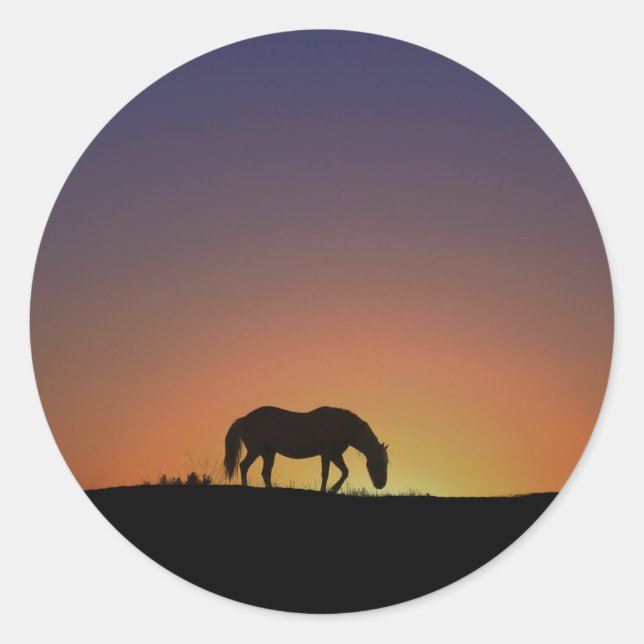 Pferd im Südwesten des Sonnenaufgangs Runder Aufkleber (Vorderseite)