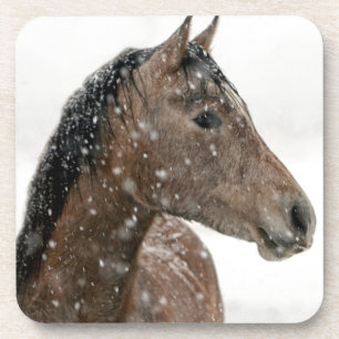 Pferd im Winter Getränkeuntersetzer
