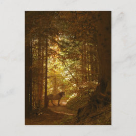 Pferd im zauberhaft grünen Wald Postkarte