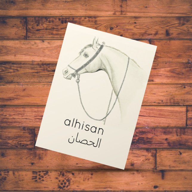 Pferd in Arabisch - Vintage Abbildung Postkarte (Von Creator hochgeladen)