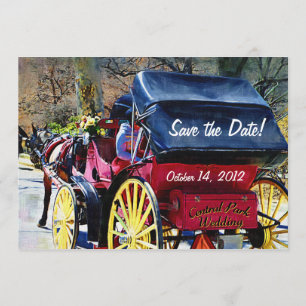 Pferd in Buggy Save the Date Hochzeitskarte